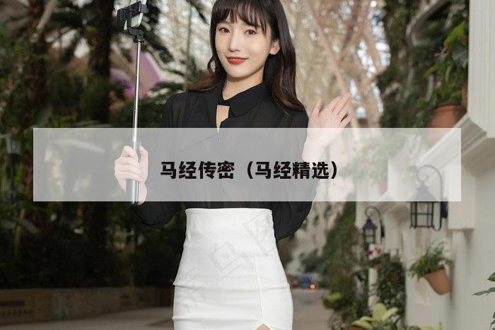 马经传密（马经精选）